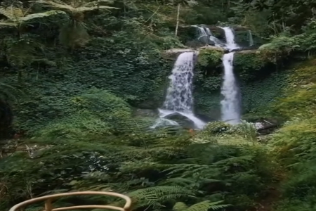 带晶字公司起名大全