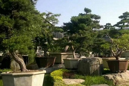 最旺公司起名参考大全