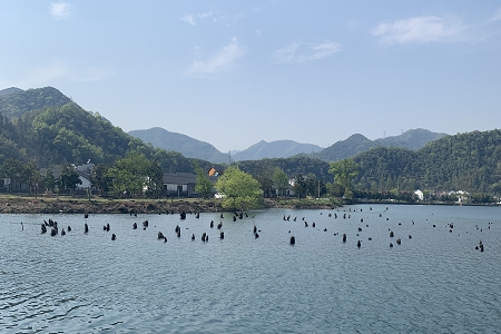 公司起名带有美好的寓意