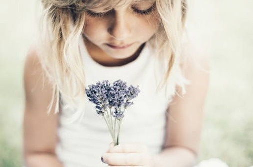 /uploads/allimg/250514/7-250514122R10-L.jpg