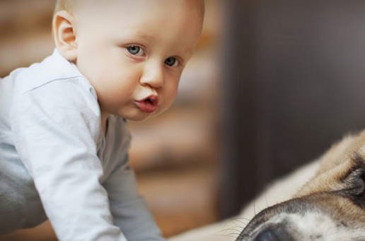 /uploads/allimg/250704/7-250F41G4400-L-50.jpg