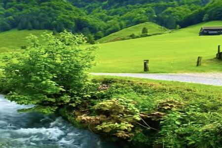 石化机械公司起名