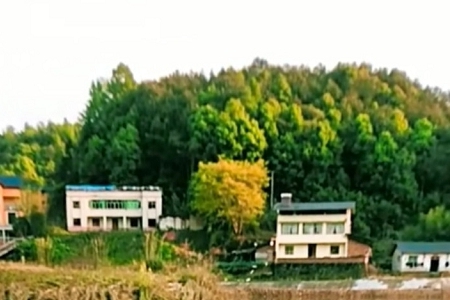 吴姓100分的好名字